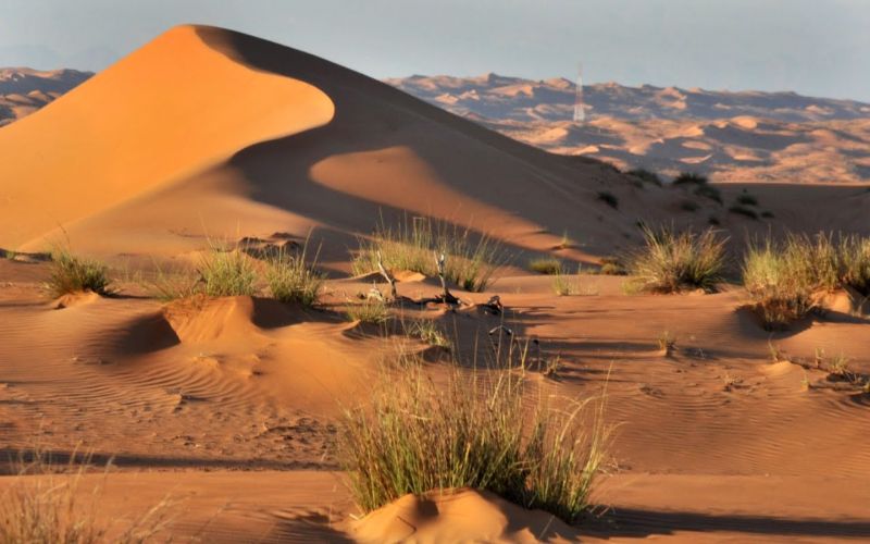 جولة كلاسيكية لِسلطنة عُمان للِمدة 5 أيام في مسقط